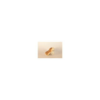 CHAMPIGNON PIED DE MOUTON