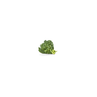 CHOU CURLY KALE  BIO