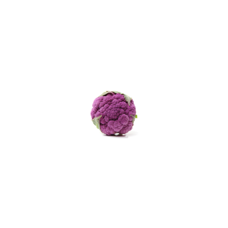 CHOU FLEUR VIOLET BIO
