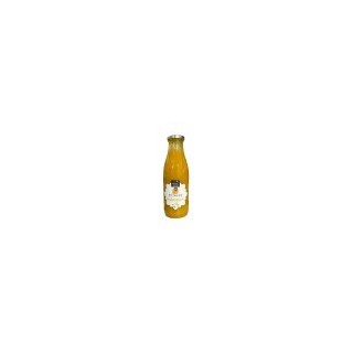 NECTAR DE MANGUE FRANCE - NATUR'AVENIR - 75CL