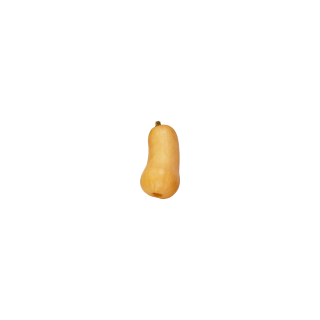COURGE BUTTERNUT