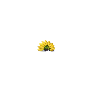 BANANE FRECINETTE