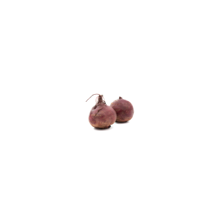 BETTERAVE ROUGE BIO CAT II