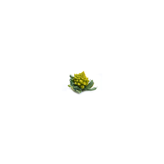 CHOU ROMANESCO BIO