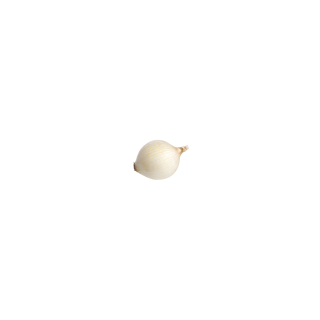 OIGNONS BLANC