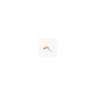ESCURETTE
