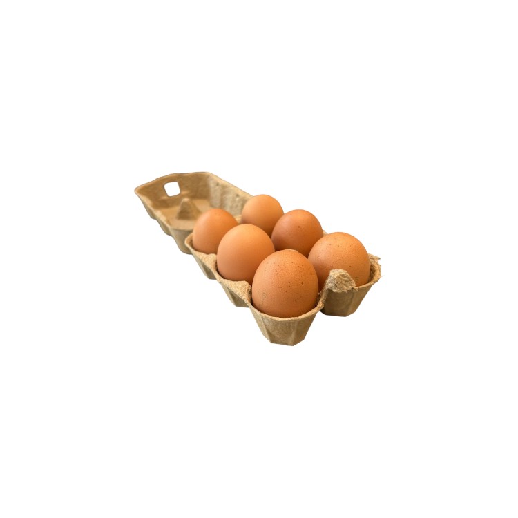 BOITE DE 6  OEUFS AVEC EMBALLAGE